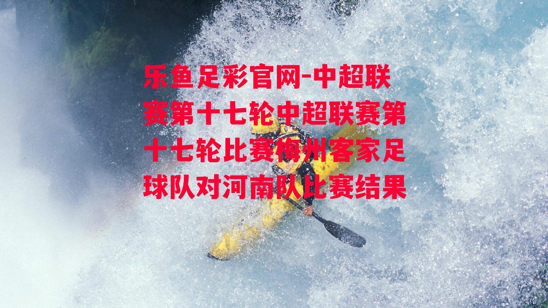 中超联赛第十七轮中超联赛第十七轮比赛梅州客家足球队对河南队比赛结果